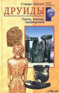 Друиды. Поэты, ученые, прорицатели - Пиготт Стюарт (читать книги полностью без сокращений бесплатно .TXT) 📗