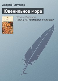 Ювенильное море - Платонов Андрей Платонович (читать книги онлайн бесплатно полные версии .txt) 📗