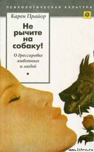 Нe рычите на собаку! - Прайор Карен (книги онлайн без регистрации полностью .TXT) 📗