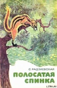 Полосатая спинка. Рассказы - Радзиевская Софья Борисовна (читаемые книги читать онлайн бесплатно TXT) 📗