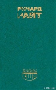 Сын Америки - Райт Ричард (читать книгу онлайн бесплатно полностью без регистрации .txt) 📗