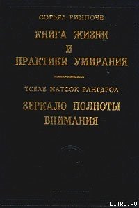 Книга жизни и практики умирания - Ринпоче Согьял (электронные книги бесплатно txt) 📗