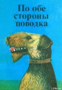 Фернандо, совсем необычный пес - Росс Дитрих (книги без сокращений txt) 📗