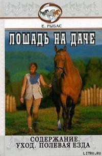 Лошадь на даче - Рыбас Екатерина Святославовна (читать книги полностью без сокращений .TXT) 📗