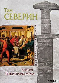 Побратимы меча - Северин Тим (бесплатные полные книги txt) 📗