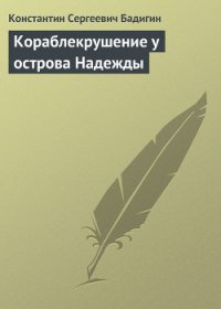 Кораблекрушение у острова Надежды - Бадигин Константин Сергеевич (лучшие бесплатные книги .TXT) 📗