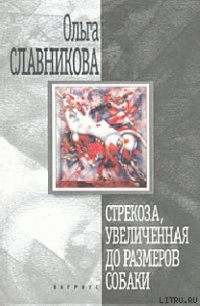 Стрекоза, увеличенная до размеров собаки - Славникова Ольга Александровна (книги бесплатно читать без .txt) 📗