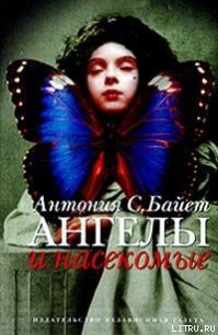 Ангел супружества - Байетт Антония С. (книги онлайн бесплатно серия .txt) 📗