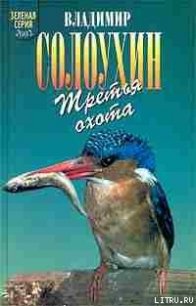 Григоровы острова (Заметки о зимнем ужении рыбы) - Солоухин Владимир Алексеевич (серии книг читать онлайн бесплатно полностью txt) 📗