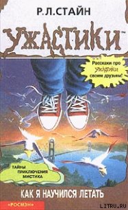 Как я научился летать - Стайн Роберт Лоуренс (книги бесплатно без регистрации полные TXT) 📗