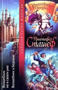 Волшебник не в своем уме - Сташеф (Сташефф) Кристофер Зухер (книги бесплатно без регистрации txt) 📗