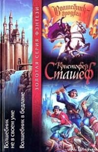 Волшебник в Бедламе - Сташеф (Сташефф) Кристофер Зухер (читать книги онлайн бесплатно серию книг .TXT) 📗