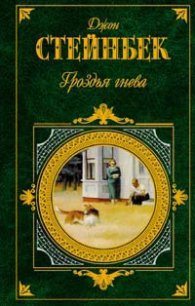 Гроздья гнева - Стейнбек Джон Эрнст (серии книг читать бесплатно txt) 📗