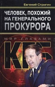 Человек, похожий на генерального прокурора, или Любви все возрасты покорны - Стригин Евгений Михайлович