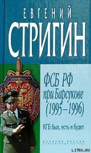 КГБ был, есть и будет. ФСБ РФ при Барсукове (1995-1996) - Стригин Евгений Михайлович (читать полные книги онлайн бесплатно .TXT) 📗