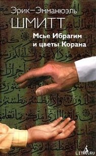 Мсье Ибрагим и цветы Корана - Шмитт Эрик-Эмманюэль (онлайн книги бесплатно полные txt) 📗