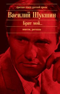 Брат мой... - Шукшин Василий Макарович (читать книги онлайн бесплатно серию книг txt) 📗