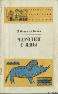 Чародеи с Явы - Оттен Мэрри (книги онлайн бесплатно txt) 📗