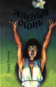 Зеленый огонь - Тичнер Луиза (книги бесплатно без регистрации полные TXT) 📗