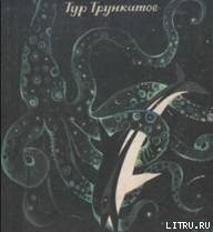 Приключения Гука - Трункатов Тур (книги хорошего качества .TXT) 📗