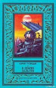 В дебрях Даль-Гея - Тупицын Юрий Гаврилович (библиотека книг txt) 📗