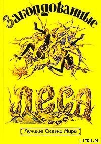 Моя жизнь в лесу духов - Тутуола Амос (книги бесплатно читать без TXT) 📗