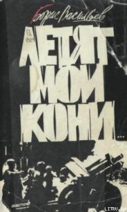 Кажется, со мной пойдут в разведку... - Васильев Борис Львович (книги бесплатно без регистрации полные txt) 📗