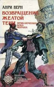 Двойники Желтой Тени - Верн Анри (читать книги онлайн без регистрации txt) 📗