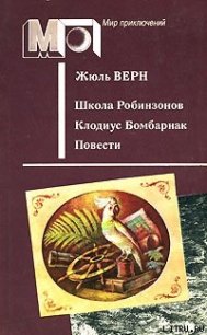 Школа Робинзонов - Верн Жюль Габриэль (читать книги без .TXT) 📗