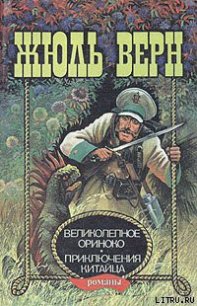 Великолепное Ориноко - Верн Жюль Габриэль (книги онлайн без регистрации полностью txt) 📗