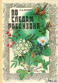 По следам Робинзона - Верзилин Николай Михайлович (читать книги бесплатно .txt) 📗