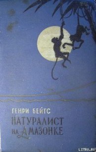 Натуралист на Амазонке - Бейтс Генри Уолтер (бесплатные серии книг txt) 📗