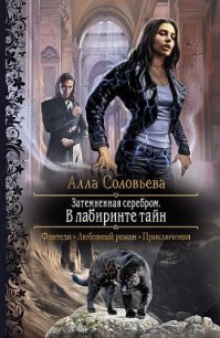 В лабиринте тайн - Соловьева Алла Александровна (чтение книг txt) 📗