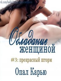 Прекрасный Шторм (ЛП) - Карью Опал (читать книги онлайн полностью .txt) 📗