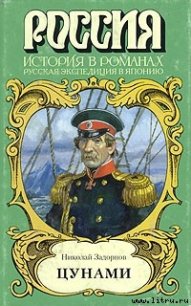 Цунами - Задорнов Николай Павлович (бесплатные полные книги .txt) 📗