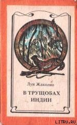 В трущобах Индии - Жаколио Луи (бесплатные онлайн книги читаем полные версии .TXT) 📗