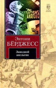 Заводной апельсин (др. перевод) - Берджесс Энтони (читаем книги онлайн .TXT) 📗