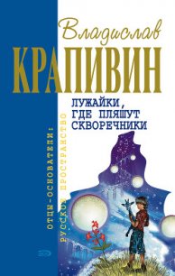 Лужайки, где пляшут скворечники - Крапивин Владислав Петрович (книги без регистрации .txt) 📗