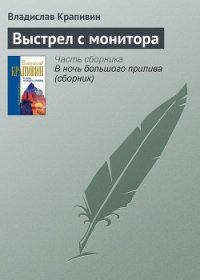 Выстрел с монитора - Крапивин Владислав Петрович (читаем книги онлайн бесплатно txt) 📗