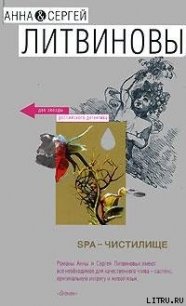 SPA-чистилище - Литвиновы Анна и Сергей (лучшие книги читать онлайн бесплатно TXT) 📗