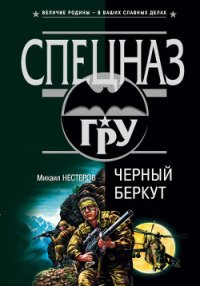 Черный беркут - Нестеров Михаил Петрович (читать книги полностью без сокращений TXT) 📗