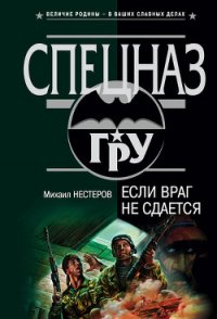 Если враг не сдается - Нестеров Михаил Петрович (читать книгу онлайн бесплатно полностью без регистрации TXT) 📗