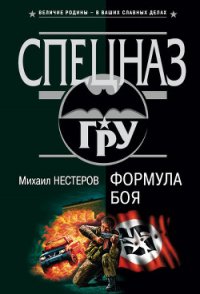 Формула боя - Нестеров Михаил Петрович (читать полную версию книги .txt) 📗