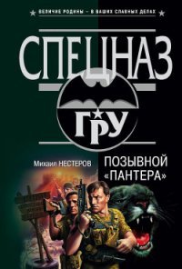 Позывной «Пантера» - Нестеров Михаил Петрович (электронная книга .TXT) 📗