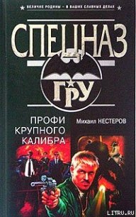 Профи крупного калибра - Нестеров Михаил Петрович (лучшие книги онлайн TXT) 📗