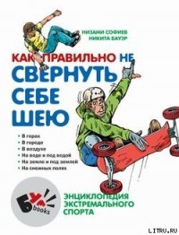 Как правильно не свернуть себе шею - Софиев Низами (электронная книга .TXT) 📗