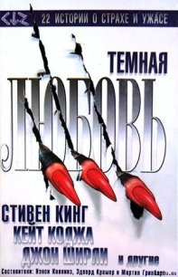 Темная любовь (антология) - Кинг Стивен (первая книга .TXT) 📗