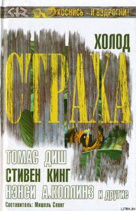 Холод страха - Сланг Мишель (читаем полную версию книг бесплатно .txt) 📗