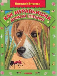 Как муравьишка домой спешил - Бианки Виталий Валентинович (читаемые книги читать онлайн бесплатно полные TXT) 📗