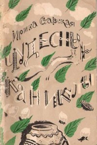 Чудесные каникулы - Ставская Ирина Федоровна (читать бесплатно полные книги .TXT) 📗